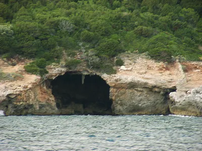 a barlang